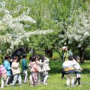 퐁당퐁당 이미지