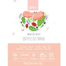 목포 옥암동 샐러드&amp;커피 맛집은 끼아라[정기배송/단체주문]