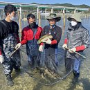 경안슈퍼 이미지