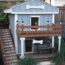 견생폼사 이미지