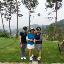 대영힐스CC 이미지