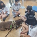 함열여자중학교 이미지