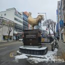 춘천 명동닭갈비 골목 우미닭갈비 혼밥 후기