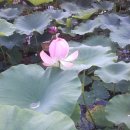 수기농장 이미지