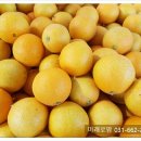 미래로농장 이미지