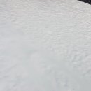셀세모 이미지