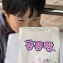 제일가스충전소 | 통영 고성 가볼만한곳 아이와 공룡 축제 경남 고성 여행