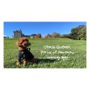 평원애견 이미지