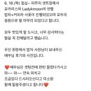 유카리스 | 유카리스 서폿 후기