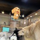 포포앤미루 강동점 이미지