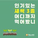 허브앤씨드