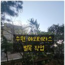 경기도 수원시 팔달구 세지로 294번길 | 수원 야외테라스 벌목 작업