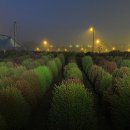 갯골생태공원 이미지