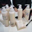 클로버릿 이미지