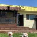 십일월오일 이미지