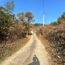 곡성-147 이미지