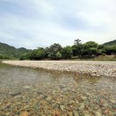 돌배야영장(제2야영장) 네이버블로그
