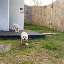 스테이체리 이미지