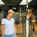 해바라기유치원 | 여수 동물농장 한우드림 동물체험장