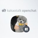 펫스티발 이미지