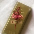 커피쏘냥 이미지