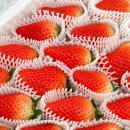 율리2농장 이미지