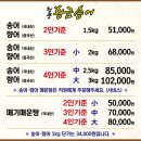 황금부엉이펜션 | 충북 단양&amp;제천 1박 2일 완벽 힐링 국내여행 코스 추천 (2일차)