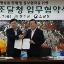 성주 이미지