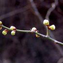 금당농장 이미지