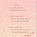 신미정 이미지
