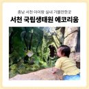 지에스25 서천서문점 | 서천 국립생태원 에코리움, 아이랑 실내 가볼만한곳으로 추천