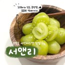 리샤인 | 산지직송 고당도 20brix "서앤리" 샤인머스켓 택배 후기 💚