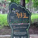 위로가 필요할 때, 아이와 함께 걷는 황톳길– 시흥 맨발 황토 산책길 후기