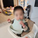 (주)큐브랙 | [이유식 일기] 16주차: 2.5배죽 유아식인가?ㅣ죽이유식 + 자기주도이유식ㅣNEW 들깨, 아보카도, 양고기...