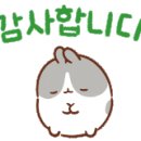 하우스토리세탁 이미지