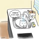 [주간일기 #11] 으이구 남아나는게 없네