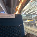 라인6차 | 20대 대장암 6차 항암 후기｜폴폭스(FOLFOX) 치료 중간점검 CT와 항암 후 대전 여행