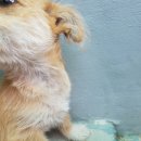 정선가축병원 이미지