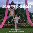 고양가을꽃축제 2025 기본정보 주차팁 기간 방문 후기