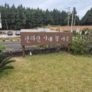 화성낙농영농조합법인 | "메밀비비작작면"작품을 먹는듯