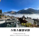 로마스파민박 | 🇨🇭 스위스 아델보덴 🏔️ 예쁜알프스산맥이 보이는 수영장호텔 📍 최고의 뷰맛집 ❄️ 더 캠브리안 디럭스룸후기 🛌