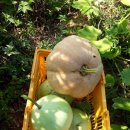 율촌농장 이미지