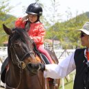 함안 승마장 이미지