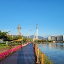 청초주유소 이미지