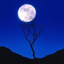 동심(童心)2 이미지