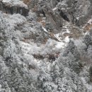 2009.02.01 경남산청중산리에서 지리산천왕봉 등반사진 입니다. 이미지