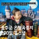 울주군 온양 육아종합지원센터 200일 홈 스냅 해리포터 후기