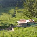 행렬농장 이미지