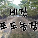 세진농장 이미지