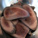 정성부부한의원 이미지